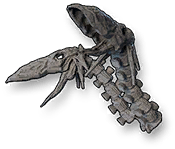 Crusher Skeleton's Skull
