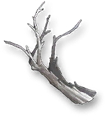 Sleeper Branches