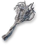 Sleeper Branch